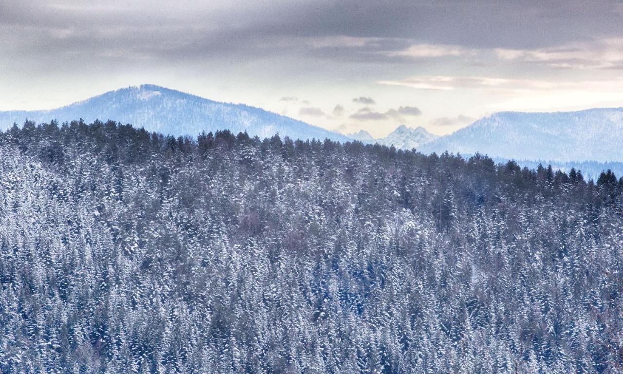 Sloneczny Chelm - Apartamenty W Gorach, Prywatna Sauna Jacuzzi Balia W Cenie, Spa, Grill, Stok Narciarski Myslenice, Sciezki Rowerowe, Rzeka Raba, Widok Na Tatry 외부 사진
