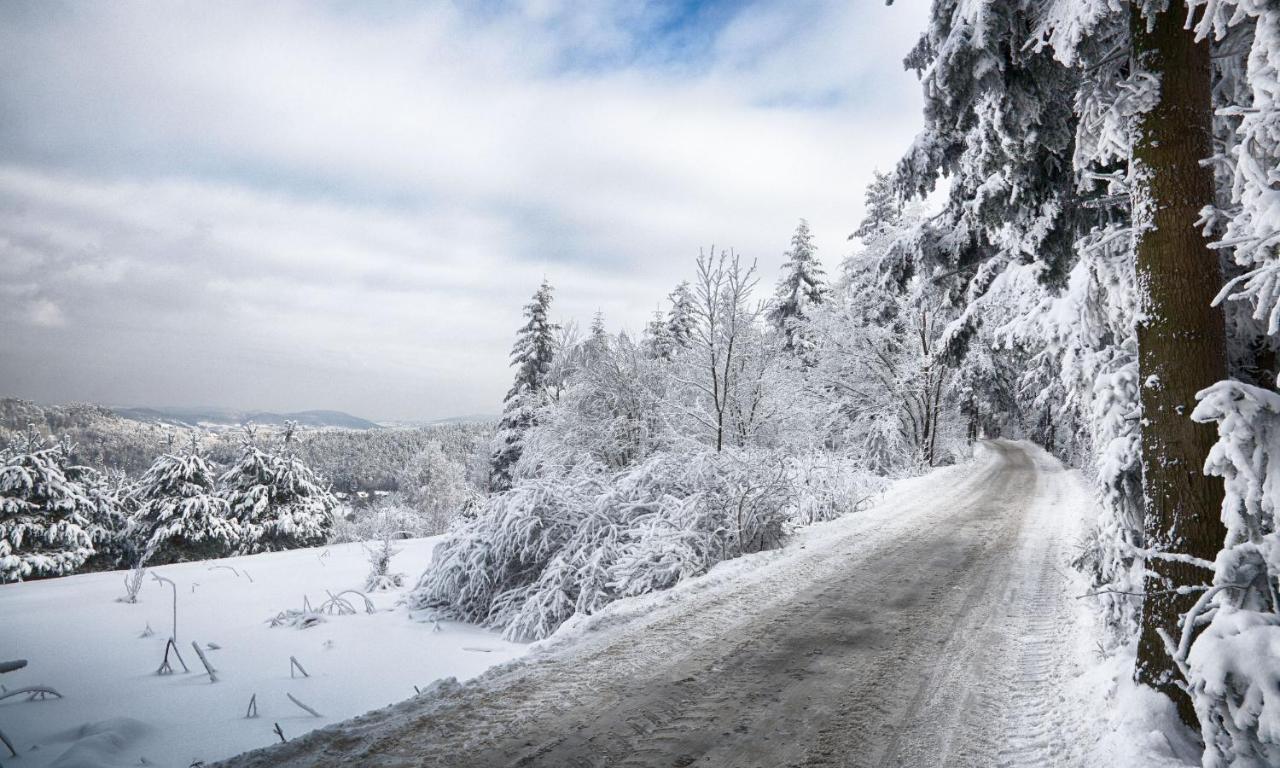Sloneczny Chelm - Apartamenty W Gorach, Prywatna Sauna Jacuzzi Balia W Cenie, Spa, Grill, Stok Narciarski Myslenice, Sciezki Rowerowe, Rzeka Raba, Widok Na Tatry 외부 사진